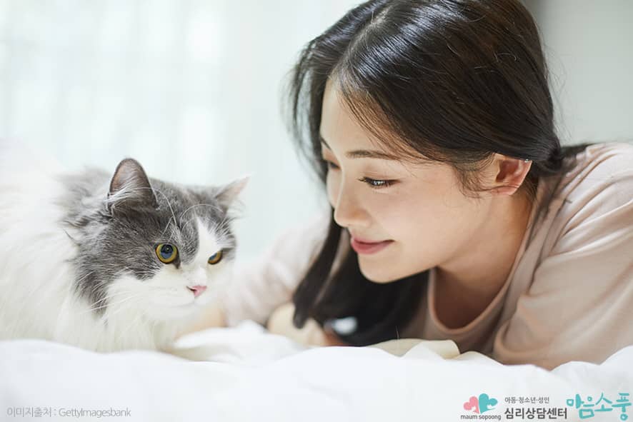 펫로스증후군 극복방법, 다른 사람들과 슬픔을 공유하기