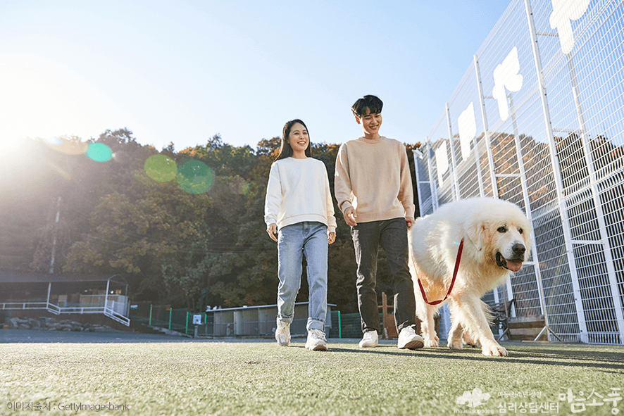 계절성우울증_계절성정동장애_부천심리상담센터마음소풍_08.png