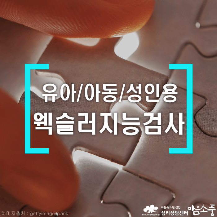 [공부가 머니?] 웩슬러지능검사-유아, 아동 및 성인용
