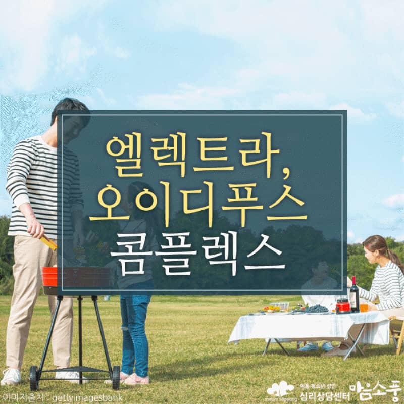 엘렉트라 콤플렉스·오이디푸스 콤플렉스, 부모에게 향하는 무의식적 욕망과 갈등