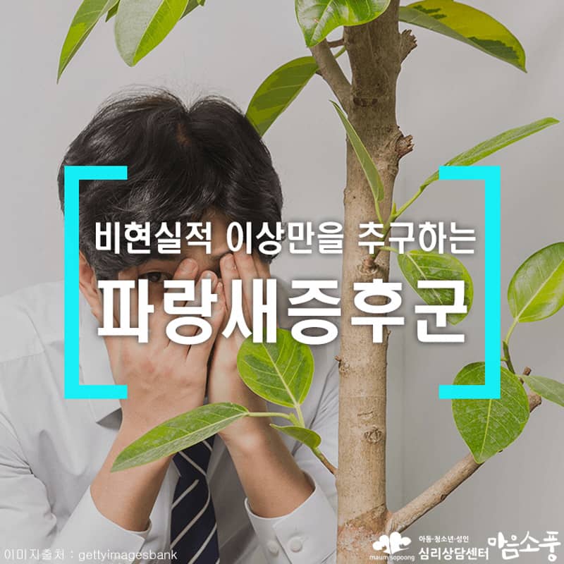 파랑새증후군 증상과 치료 [Bluebird syndrome]
